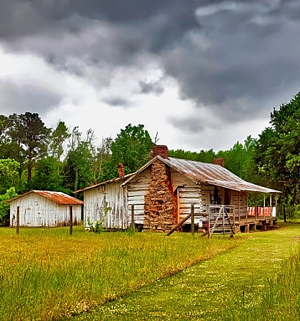 Alabama-Land-Southeast-Land-Buyers