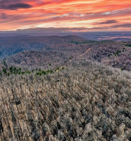 Arkansas-Land-Southeast-Land-Buyers
