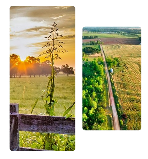 Sell_My_Land